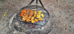 Grillen25_15